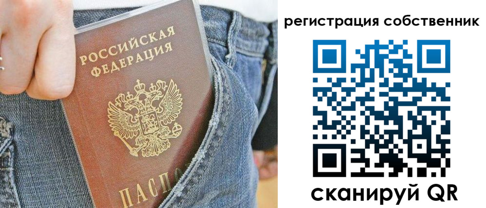 временная регистрация гарантия в Покрове